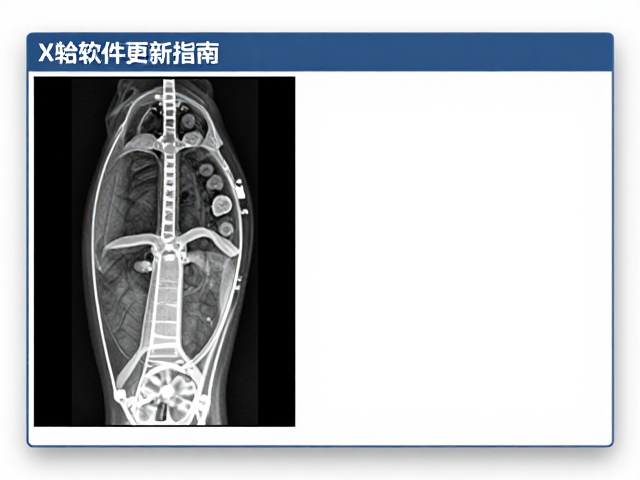 更新后的验证流程与质量控制