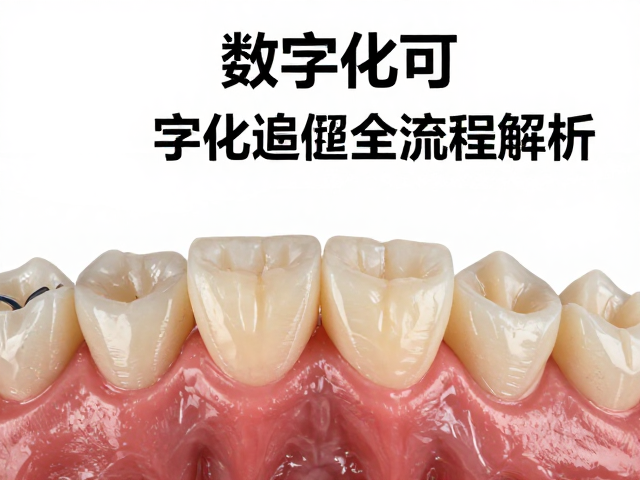 全流程数据的可追溯性与质量控制