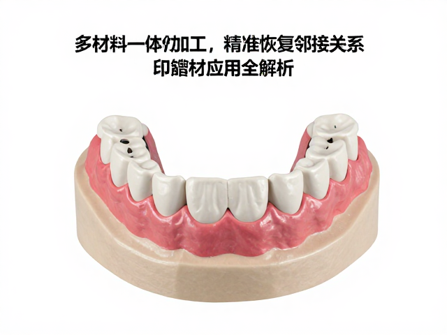 多材料一体化加工,精准恢复邻接关系,印模材应用全解析