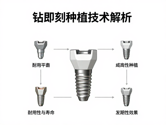 钻即刻种植技术解析，耐用性与寿命如何决定长期效果？