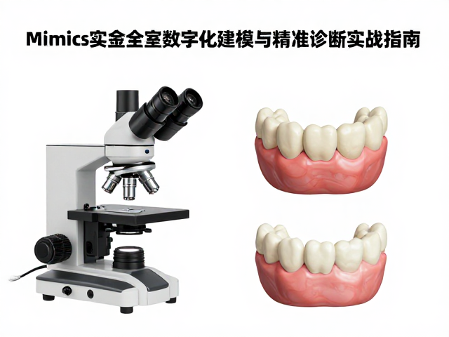 基于Mimics的三维重建与分割策略