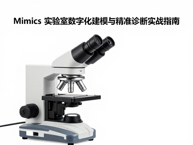 临床路径中的标准化操作流程
