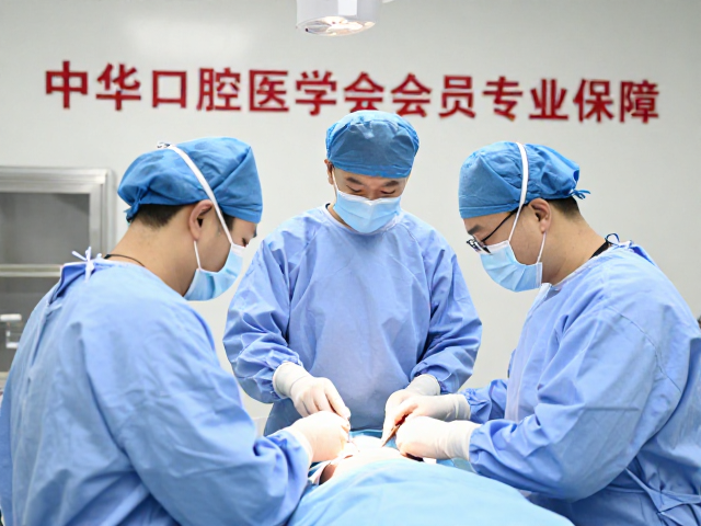 标准化操作流程与质量控制体系