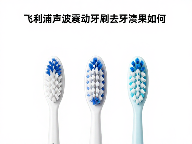 不同材质刷头与使用习惯的影响