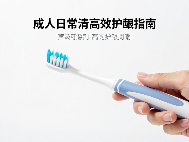 刷头更换周期与日常维护对清洁效果的影响