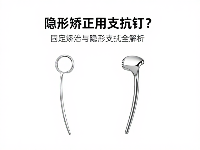 安全性与长期稳定性分析