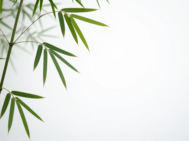 竹叶清香的嗅觉层次解析