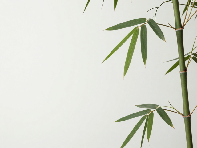 观夏品牌理念与东方植物美学
