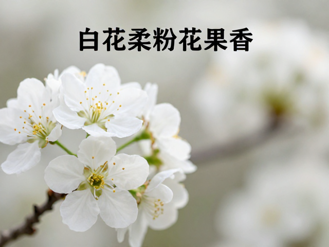 白花柔粉花果香,前调表现明显,清新脱俗的香氛之选