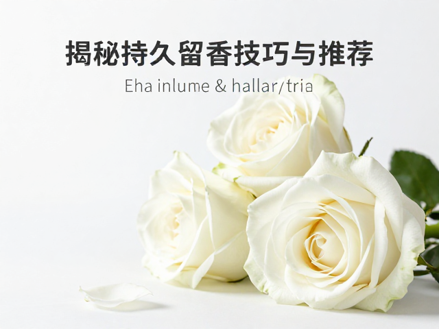 常见白花玫瑰香薰产品形态特点
