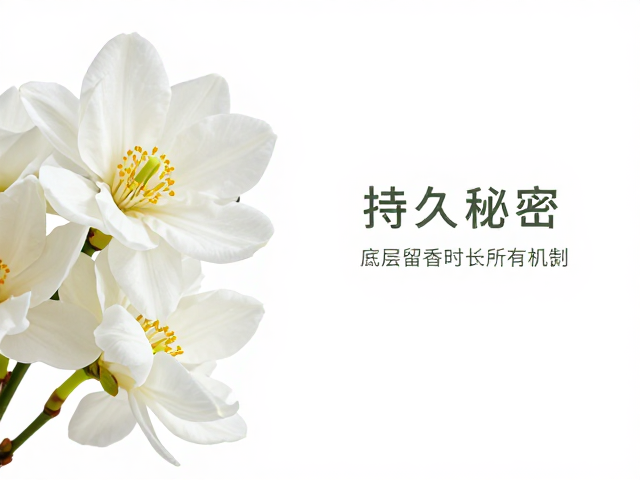 提升留香时长的底层机制与护理细节