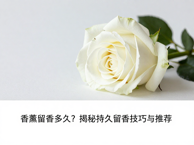 白花玫瑰香薰留香多久?揭秘持久留香技巧与推荐