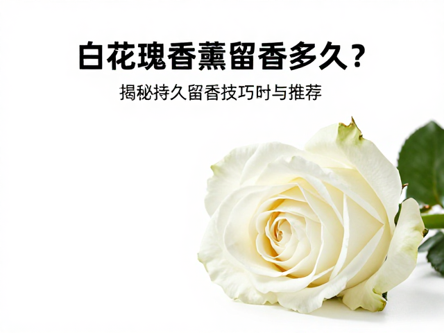 香气感知与保存的科学建议