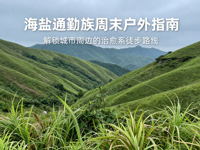 自然景观与生态观察