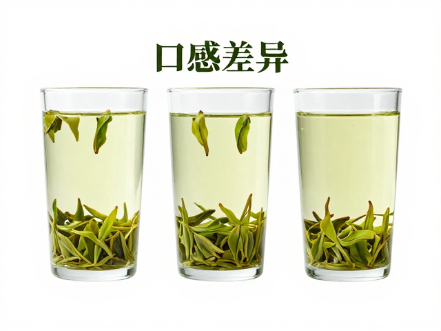 冲泡技巧对口感呈现的调节作用