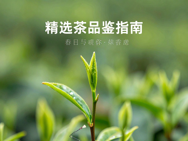 味觉层次的深度解析