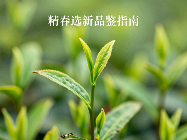 视觉与嗅觉的初阶鉴赏