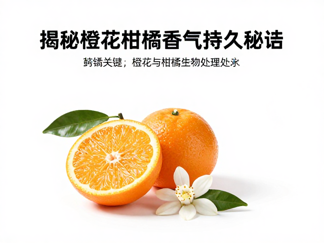 天然提取物在香氛工业中的稳定化处理技术