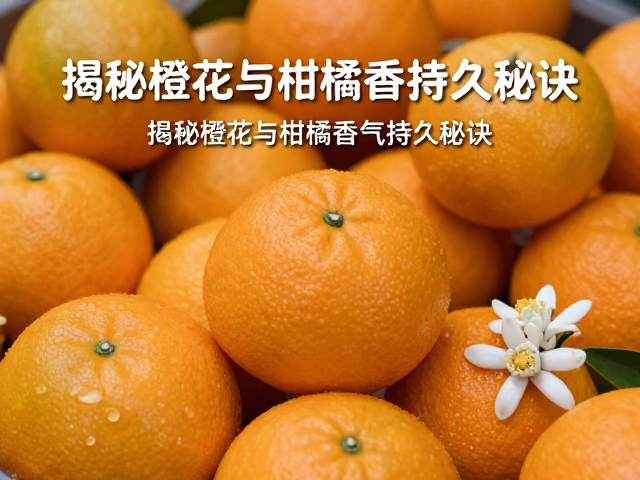 储存环境与包装材料对香气保留的影响