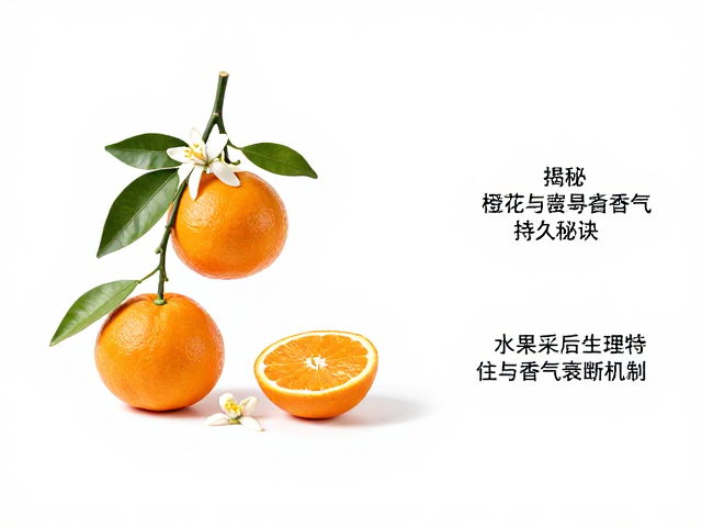 柑橘鲜果留香短?揭秘橙花与柑橘香气持久秘诀