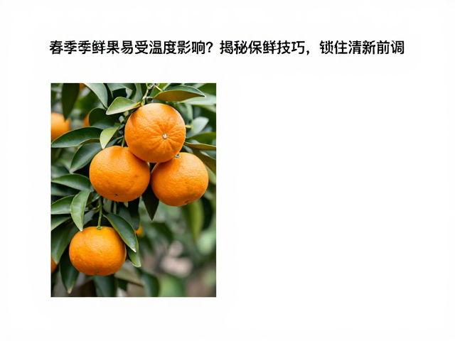采摘环节的关键控制指标