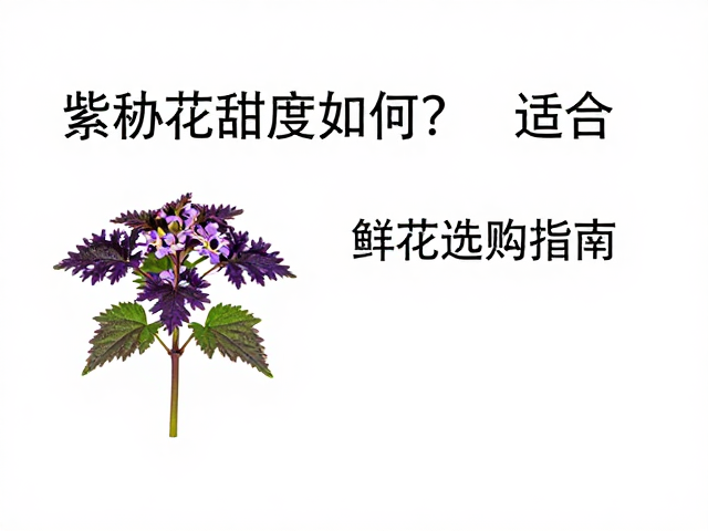 日常场景下的适用性与使用场景