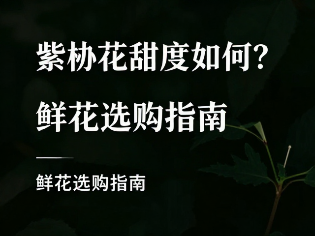选购要点与真伪辨别逻辑