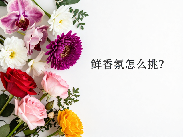 解析层次:从花香到底蕴的过渡逻辑