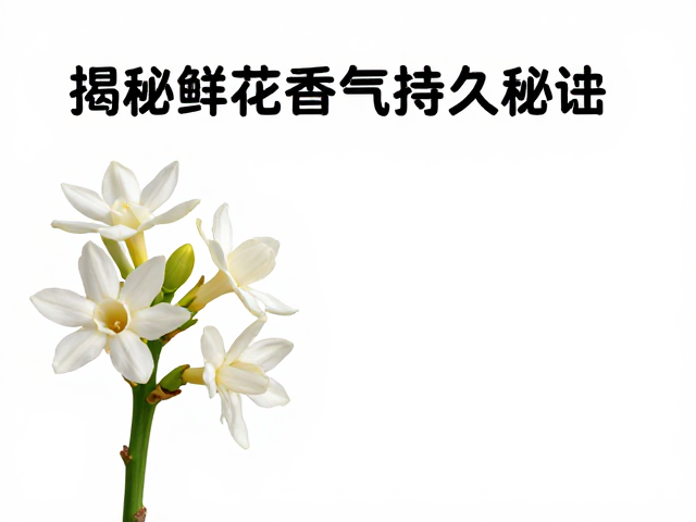 晚香玉浓度越高过渡越缓慢?揭秘鲜花香气持久秘诀