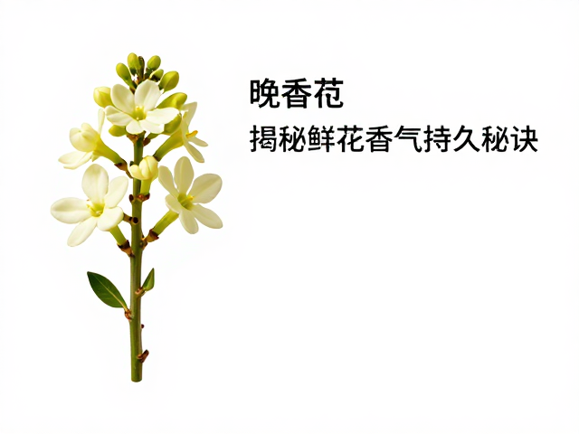 萃取工艺对香气持久度的影响
