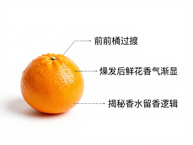 挥发过程中的香气演变逻辑