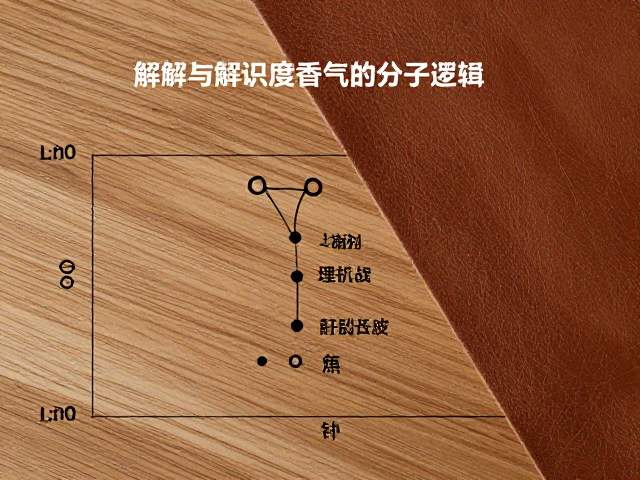 核心香料图谱：解构高辨识度香气的分子逻辑