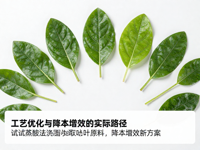 工艺优化与降本增效的实际路径