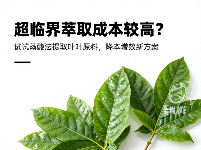 适用场景与长期效益分析