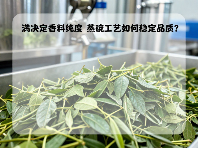 过程监控与数据追溯体系的应用