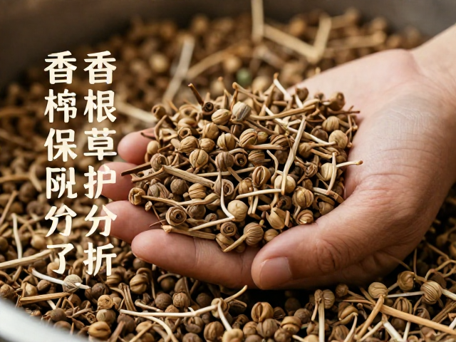 香根草蒸馏技术解析,如何精准保留天然香气分子
