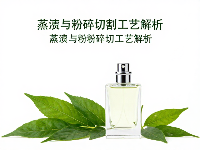搭配与场景：构建个人化的清新叙事