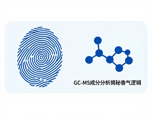 分子指纹与香气特征的映射预测