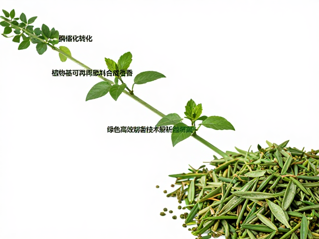 酶催化转化植物基可再生原料合成香,绿色高效制备技术解析