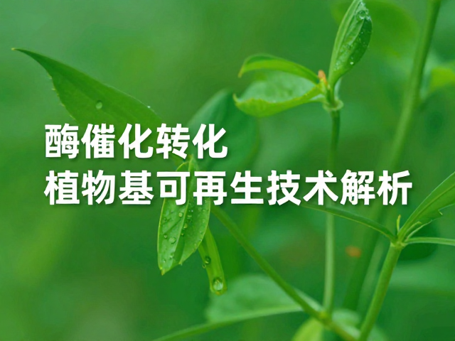 绿色高效制备的技术优势
