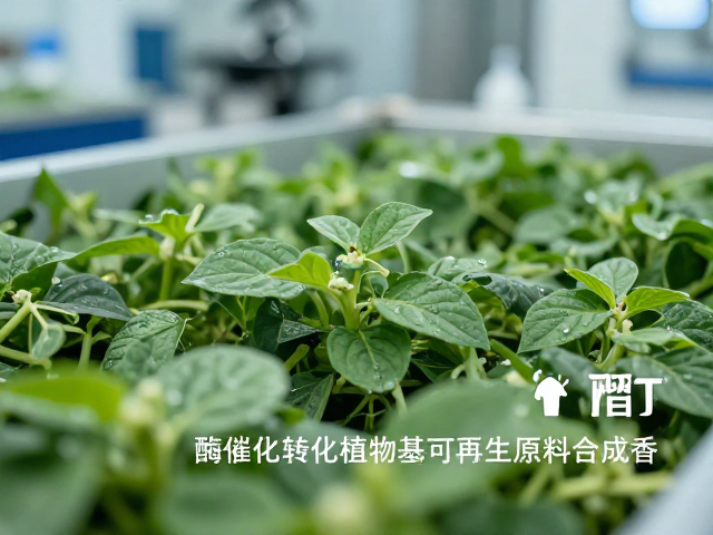 工艺优化与工业化应用现状