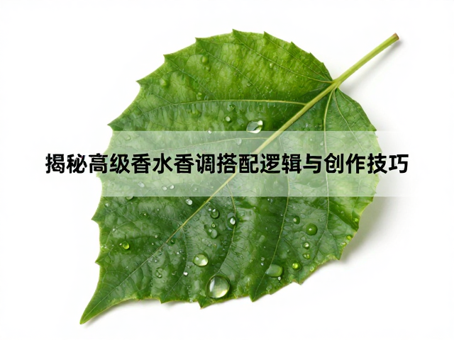 香调搭配中的协同与平衡