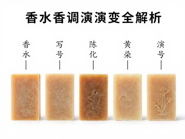 时间维度下的香调演变特征