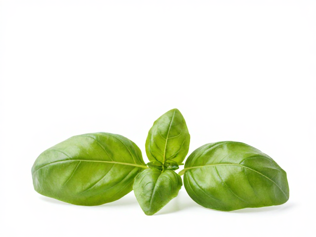 植物香材构建嗅觉层次的策略