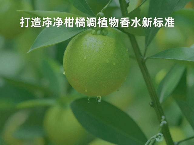 绿色生产工艺与可持续发展价值