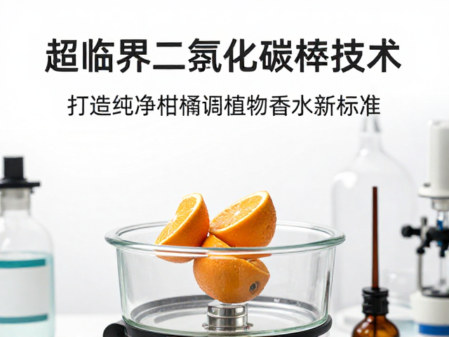 技术标准化与行业质量控制