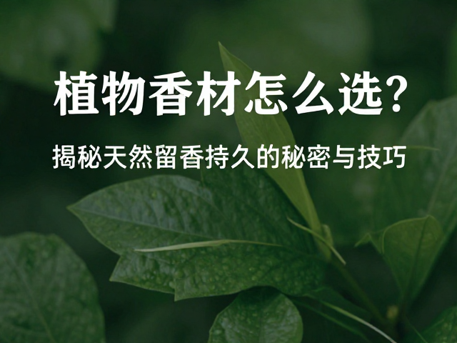 环境因素与留香技巧
