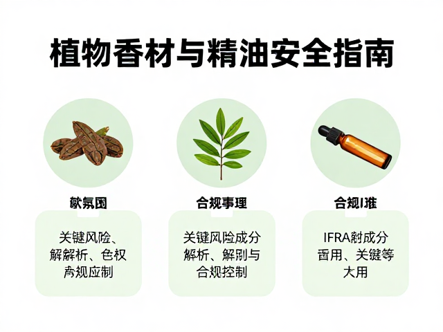 关键风险成分解析与合规控制