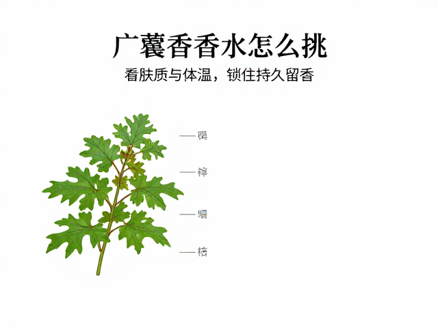 体温变化对香气释放的影响机制