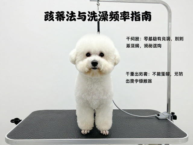 美容台适应训练的核心逻辑与脱敏步骤
